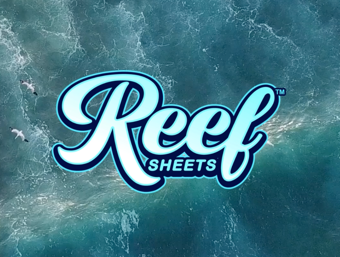 Sustainable Laundry Detergent Sheets - Tik Tok