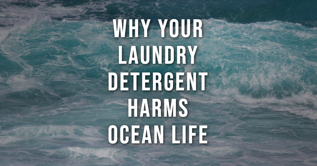 Why Your Laundry Detergent May Be Harming Ocean Life