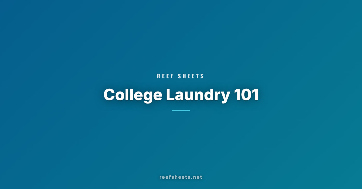 College Laundry 101: Best Detergent Sheets for Dorms