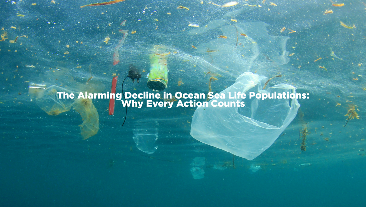 Reef Sheets - Plastic Pollution
