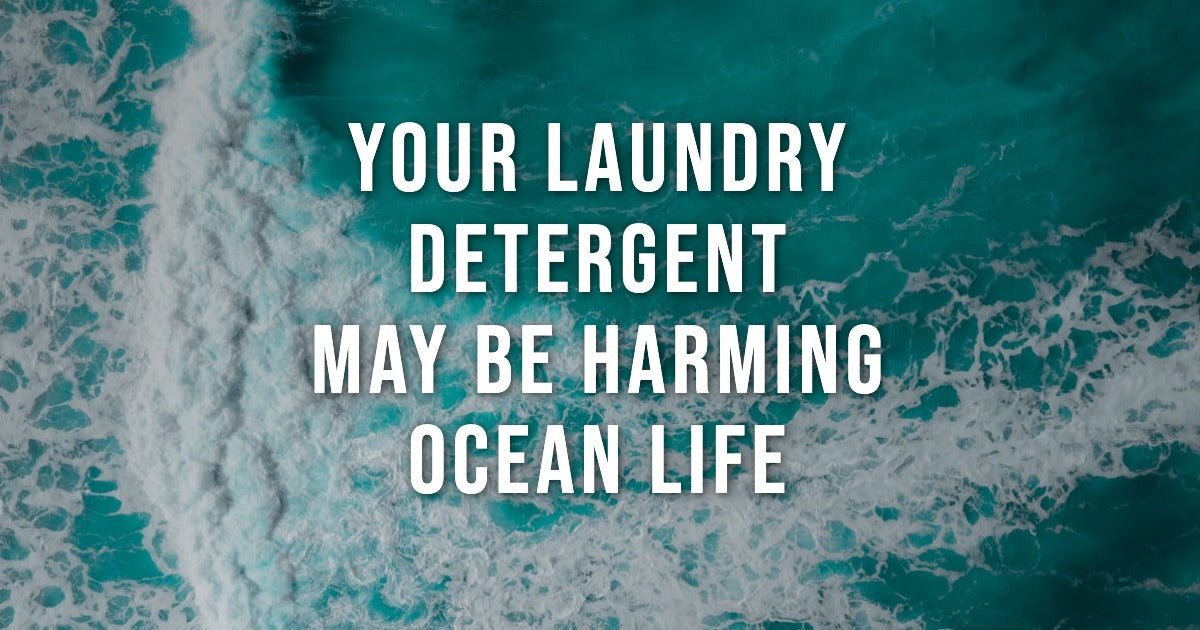 Why Your Laundry Detergent May Be Harming Ocean Life