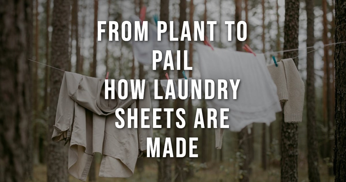 How Laundry Detergent Sheets Are Made: From Plants to Wash