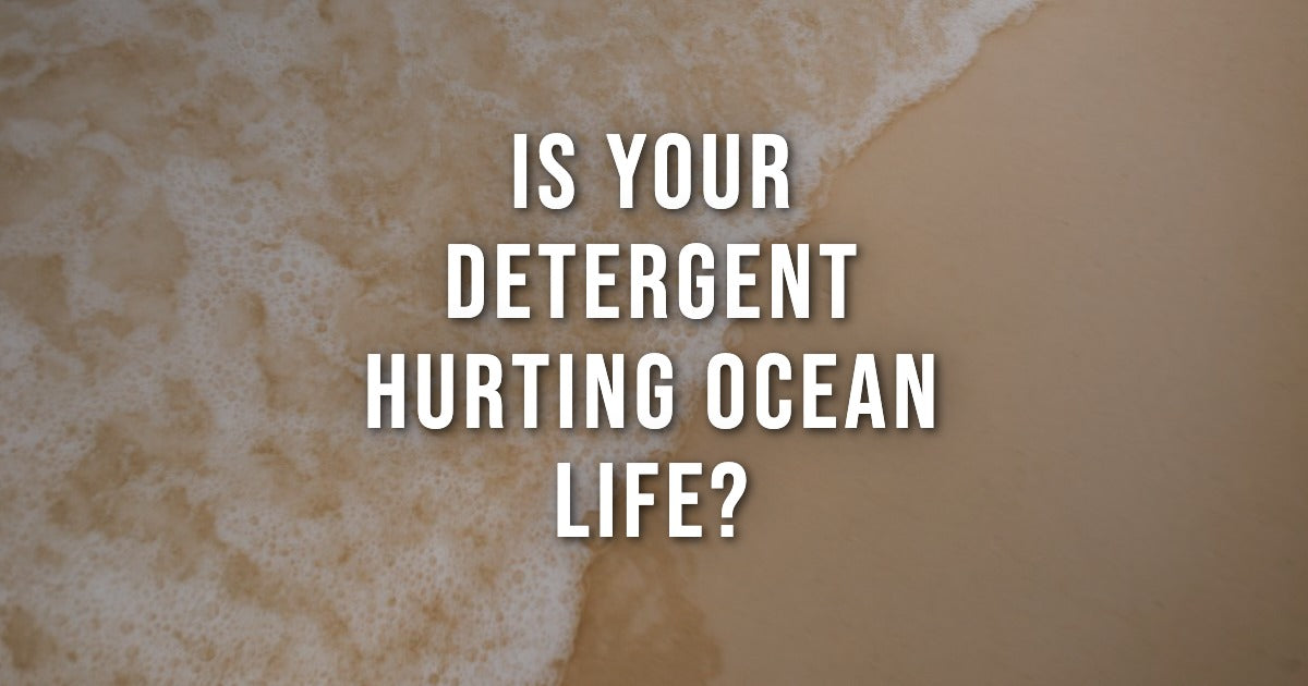 Why Your Laundry Detergent Might Be Harming Ocean Life