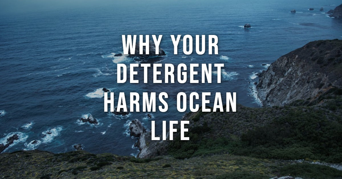 Why Your Laundry Detergent Might Be Harming Ocean Life