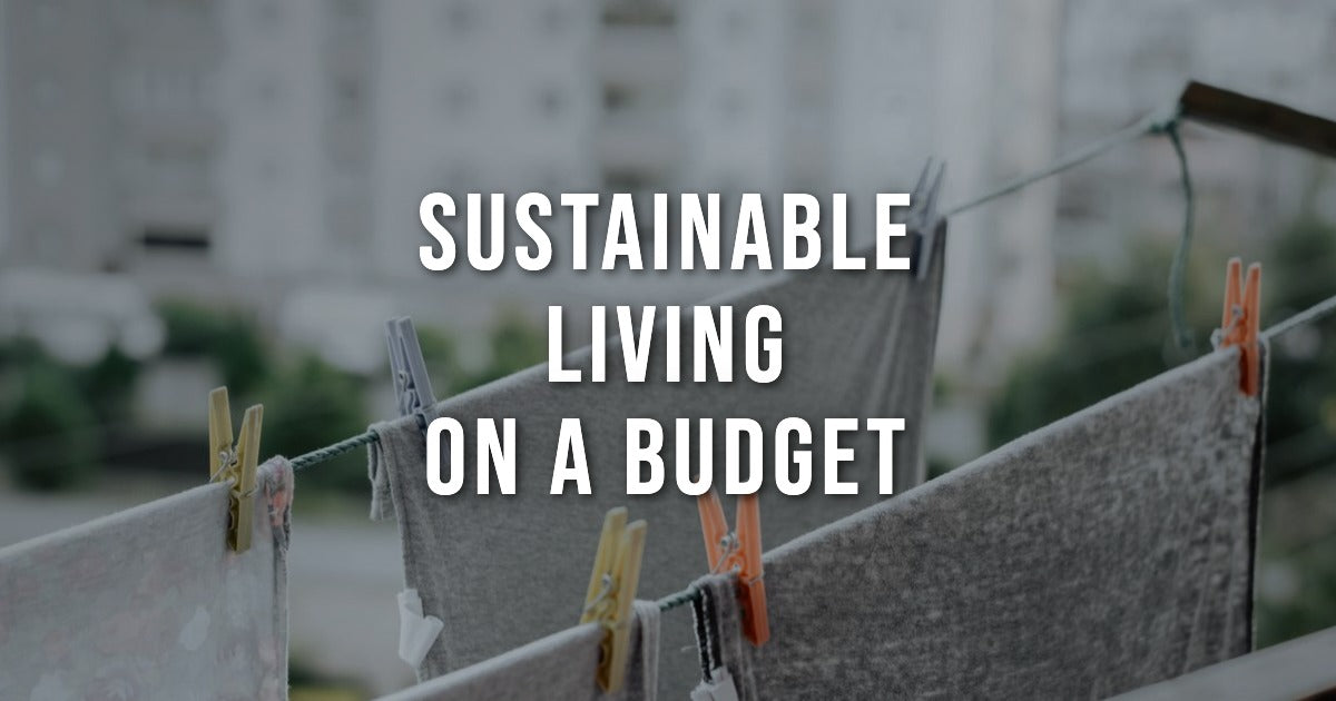 Sustainable Living on a Budget: 10 Eco Swaps That Save Money